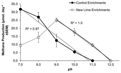 Hydrogenotrophic Methanogenesis Under Alkaline Conditions